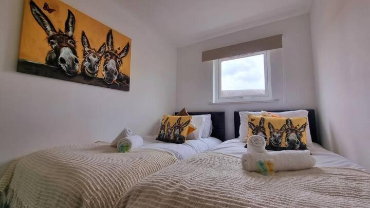 No 62 Fivedom - Charming & Cosy Apartment Саутхамптън Екстериор снимка